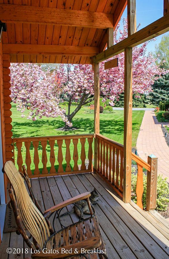 Los Gatos Bed & Breakfast ペン・ヤン エクステリア 写真